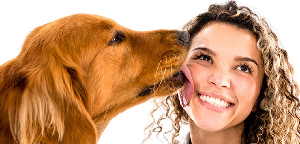 why do dogs kiss